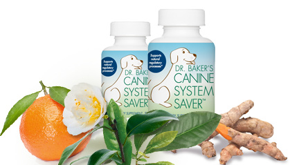 Bottle of Canine System Saver